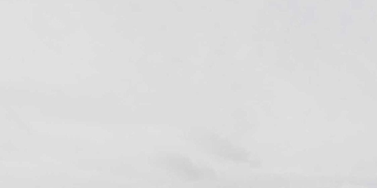 Celebrating Excellence: Presidential Service Award Honors